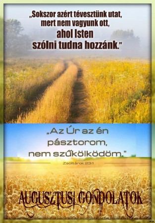 2017 - augusztus hónap gondolatai